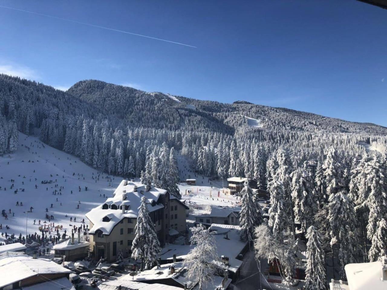 Apartment Iva - Iglika 2 Borovets Exterior foto